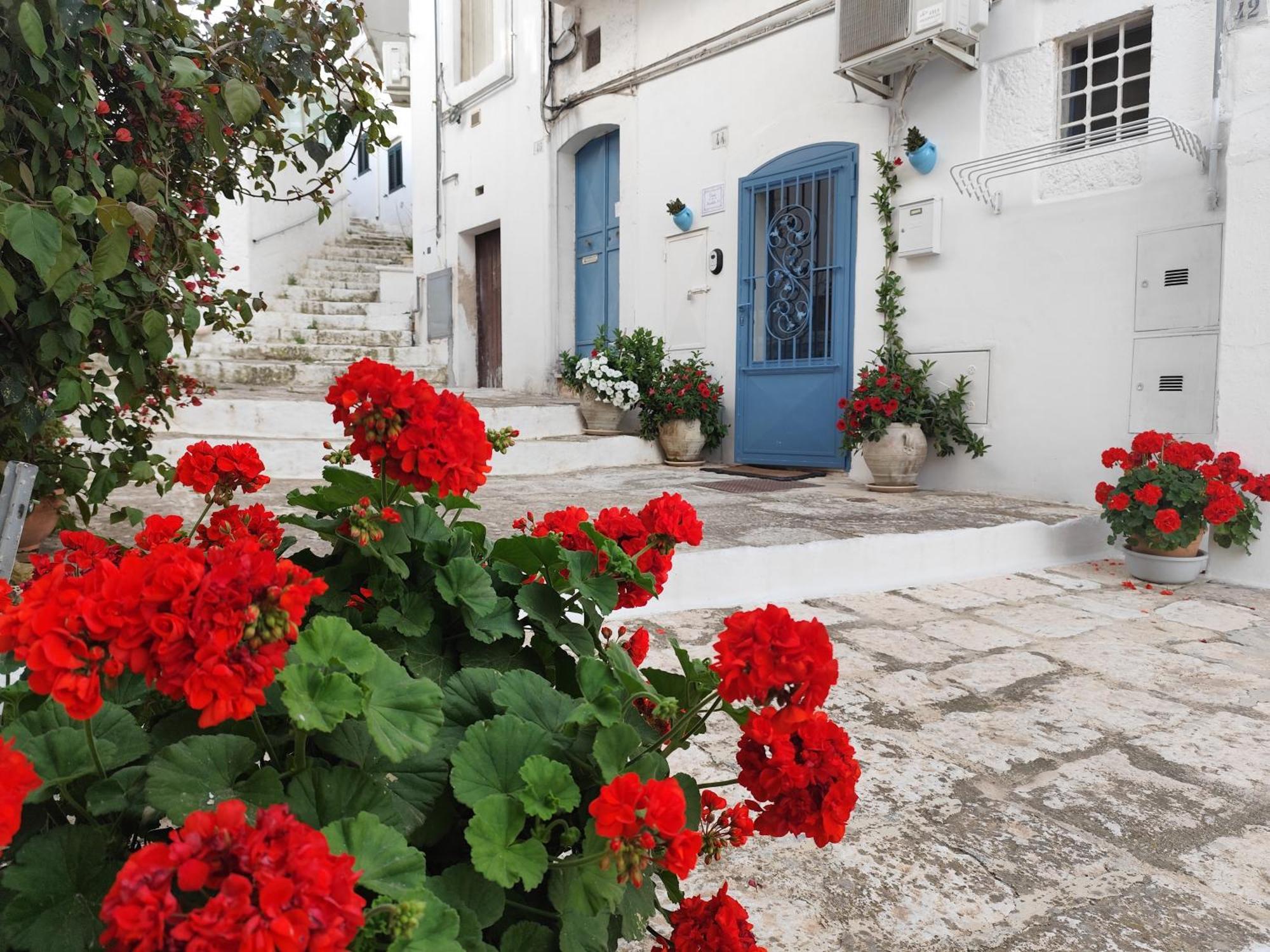 Vila Casa Mirabilis 44 Ostuni Exteriér fotografie
